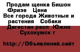 Продам щенка Бишон Фризе › Цена ­ 30 000 - Все города Животные и растения » Собаки   . Дагестан респ.,Южно-Сухокумск г.